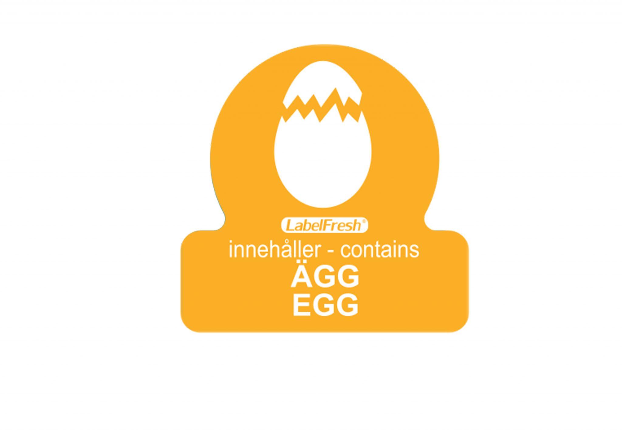 831EGG-scaled.jpg