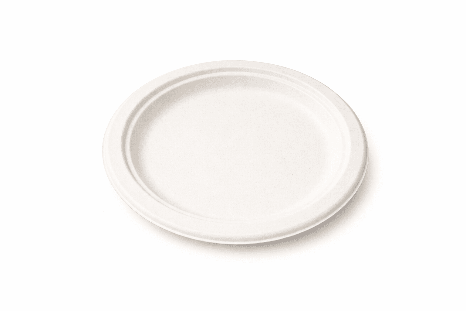 Compostable bagasse plate on display.png
