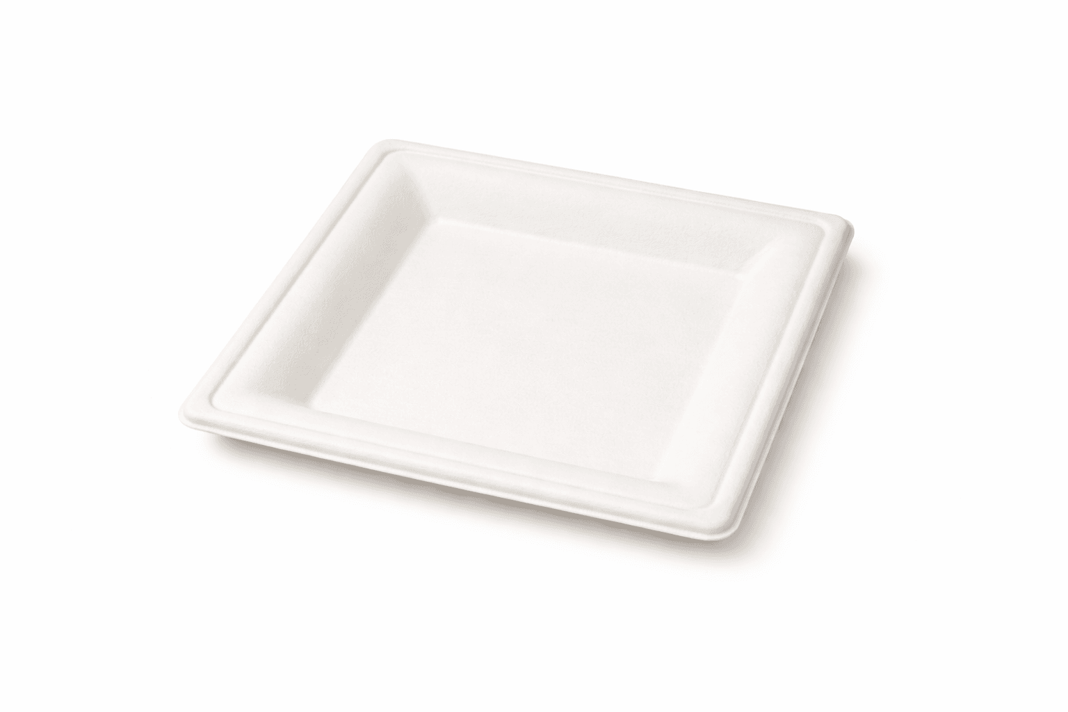 Compostable bagasse plate close-up.png
